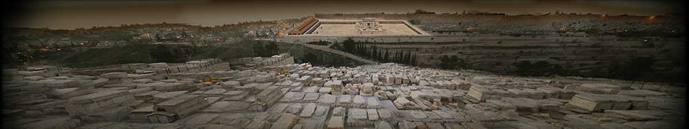Jérusalem-Cimetière et templePPP2 copie.jpg
